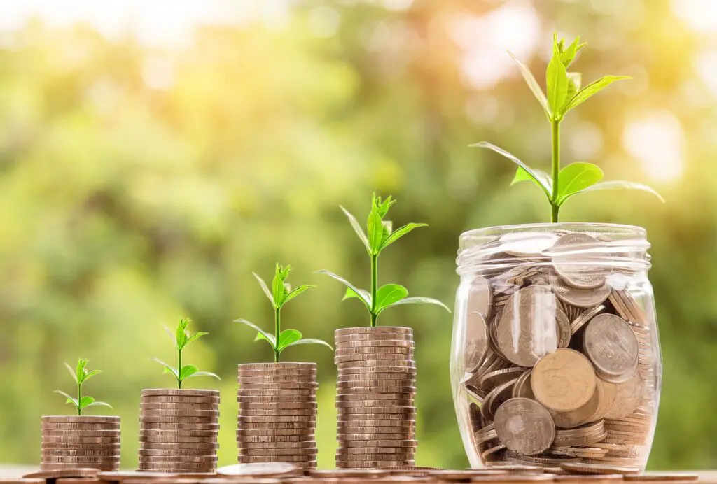 Stacks of coins growing with small plants symbolizing financial growth.
